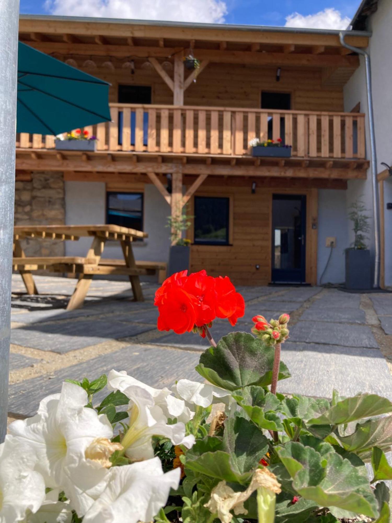 Studio Canellito Le Clos Des Ours Matemale Dış mekan fotoğraf